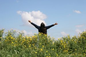 پرسشنامه سرزندگی دسی و رایان (۱۹۹۵)