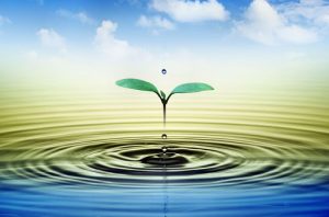 پرسشنامه بهزیستی معنوی دهشیری SWBQ