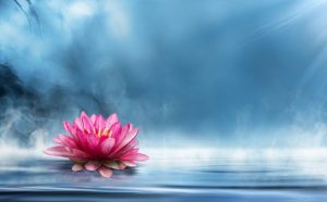 پرسشنامه معنای زندگی استایگر و فرایزر (۲۰۰۶)