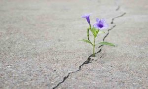 پرسشنامه معنای زندگی – استیگر و همکاران (۲۰۰۶)